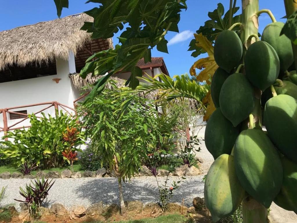 لاس تاريناس La Casa De Sergio Y Cristina المظهر الخارجي الصورة